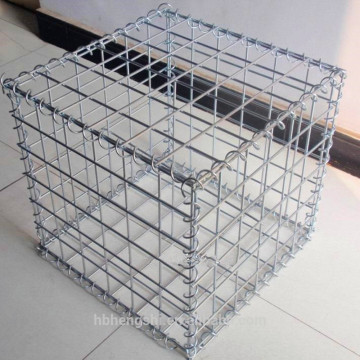 Bird cage wire panels/welded wire mesh cage/welded wire mesh panel