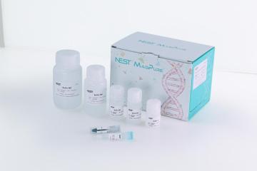 Blood Spots Genomic DNA Isolation Kit