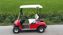 2 Seater Gasoline or Gas Powered Golf Carts