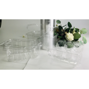 Vacuum Forming PET Transparent Packaging Tray for Food