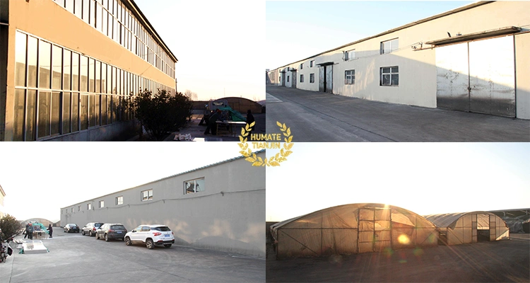 China Factory Supply High Quality Humic Acid