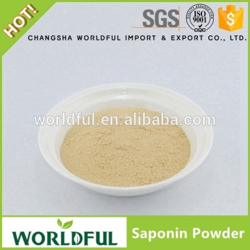 Natural Tea Saponin Extract / Tea Saponin Powder / 60% Saponin