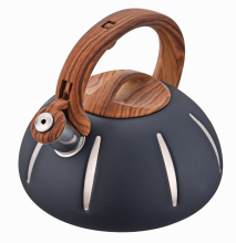 Coffee kettle fast heat base for all sotve