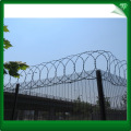 Green galvanized barbed iron wire