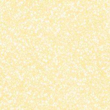 Ceramic Tile, Polished Tile, Grand Granular Series (T6005)