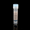 Kit di estrazione dell&#39;acido nucleico (Produttività-12)