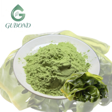 Kelp Extract Powder for Dietary Supplement Ingredients