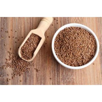 Perilla seeds for birds food