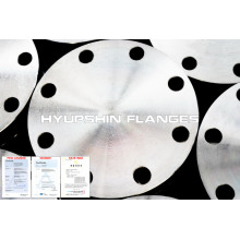 Stainless Steel Flange Forging casting 304 316