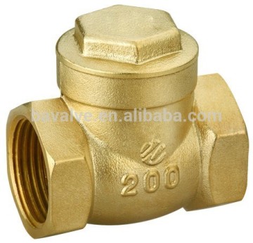 flange connection ss check valve