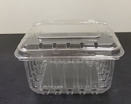 Container for Fruit Blueberries Packaging