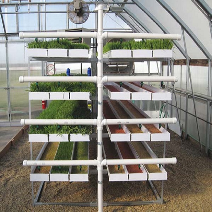 Hydroponic Fodder ProFeed Growing System