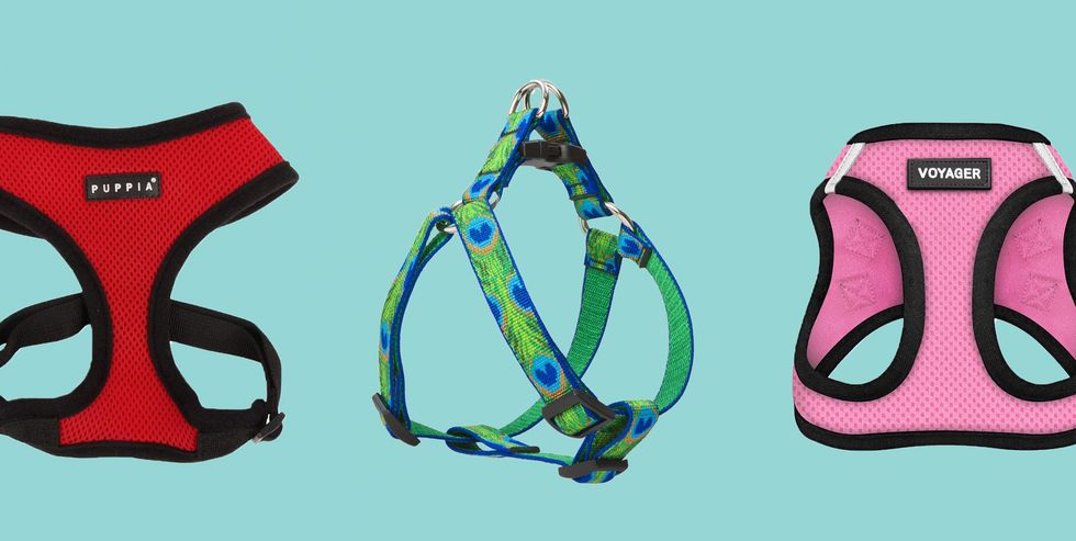 best-dog-harnesses-1605884827