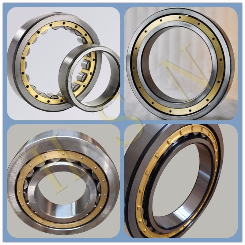 Bearing NNU41/600 Cylindrical Roller Bearing