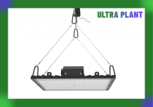 Full Spectrum for Plants Fruit Growing Lighting