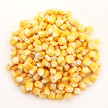 Freeze Dried Corn Whole