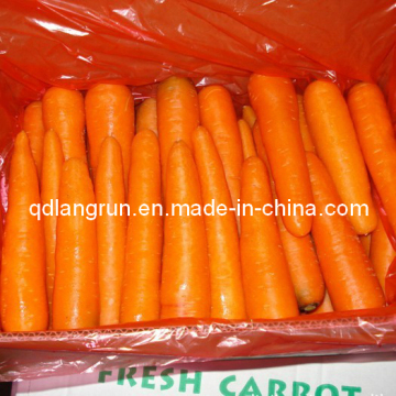 Carrot to Middle East, Southeast Asia