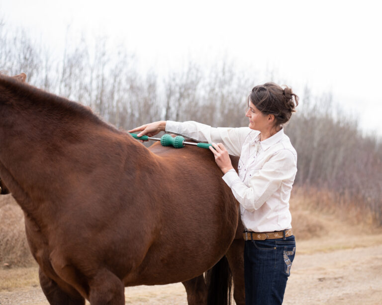 Therapy Massage Roller Horse