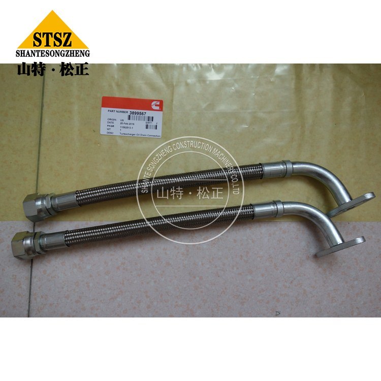 3899567 2 Jpg 3899567 2 Jpg