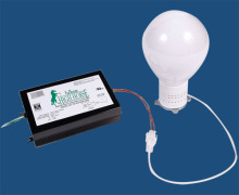 Induction lighting bulb system