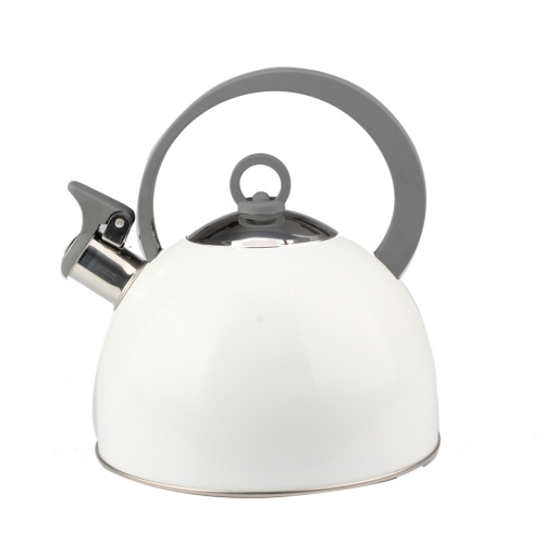 Whistling Stove Top Stainless Steel Tea Kettle