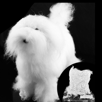 Professional Pet Grooming Teddy Poodle Model - Faux Hair Fur Wig for Practice