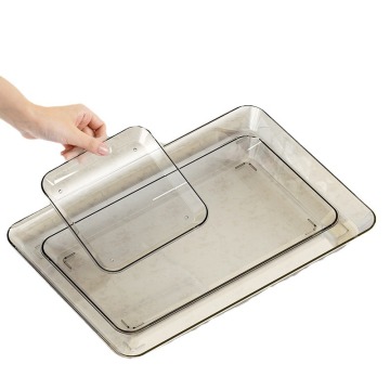 Transparent Plastic Picnic Plates & BBQ Trays for Food