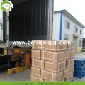 Usine en gros Fruits Produits en vrac Wolfberries