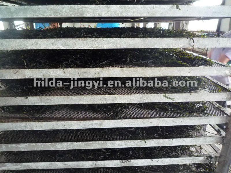 2020 High quality Machine dried kelp laminaria seaweed