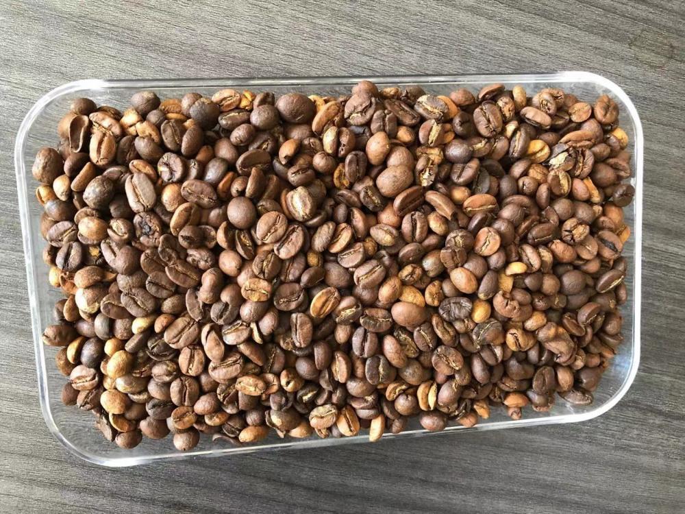 Màn hình cấp 2 13 hạt cà phê Robusta