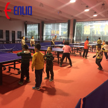 سجادة أرضية لتنس الطاولة البلاستيكية مع ITTF