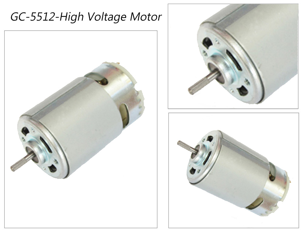 36v DC Motor