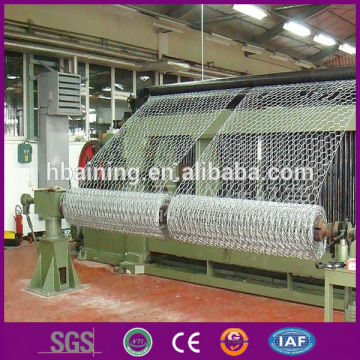 Chicken form wire/Hexagonal wire mesh manufacturer/chicken coop wire