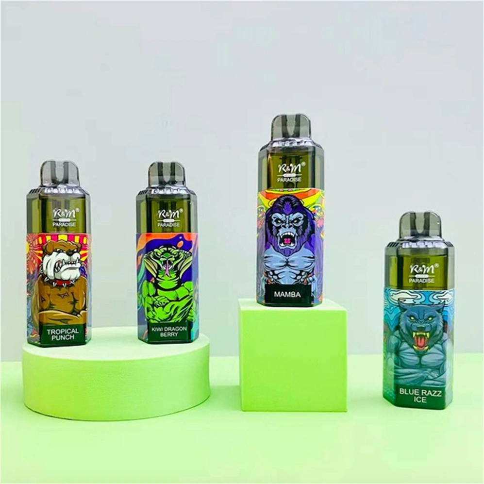 E-Cigarette R&M Paradise 8000 Puff Vape