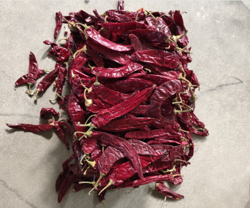 120 asta paprika pods