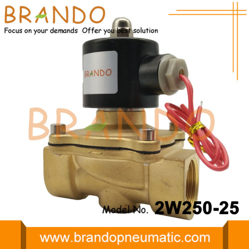 DN25 Driect Tahrik Solenoid Valfı Pirinç Gövde 2W250-25