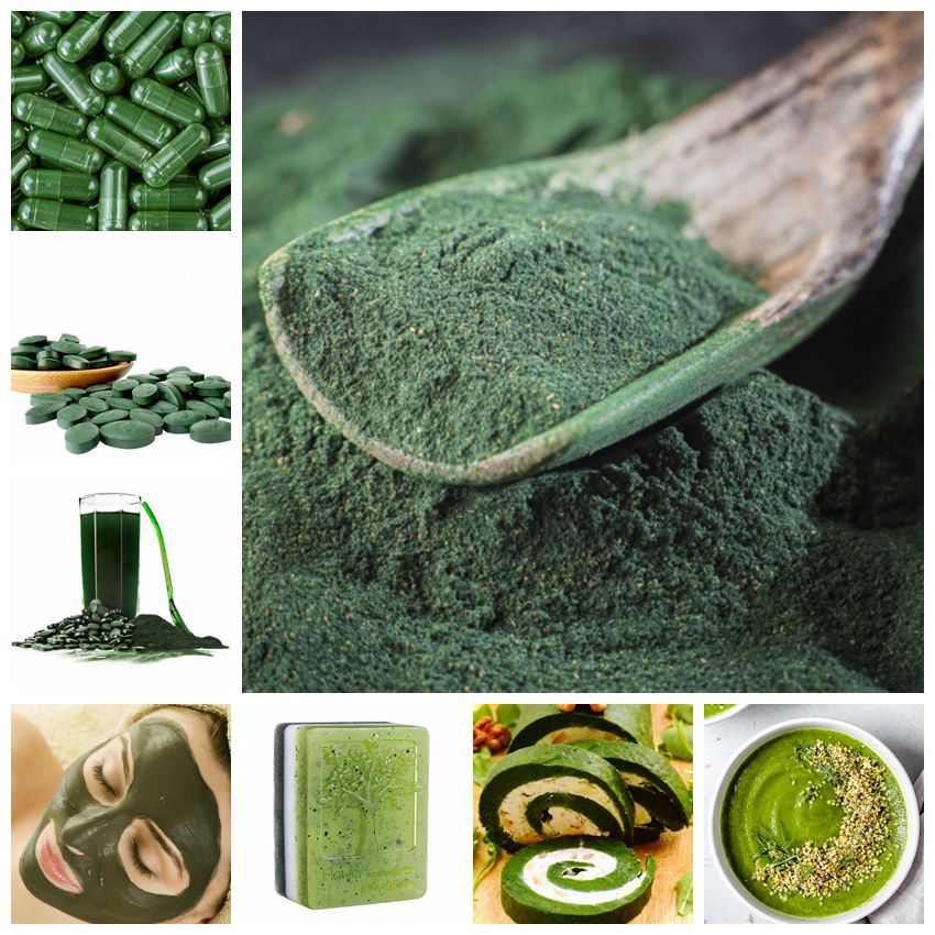 Phytochem Sciences Ficocianina Espirulina Dha 30% Food Grade Chlorella Algae Organic Spirulina Powder