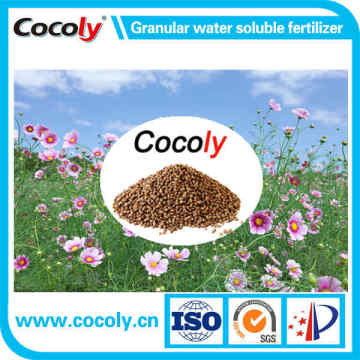 Fully water-soluble granular water-soluble fertilizer cocoly