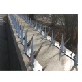 Wall Spikes Used for Security Fence Spikes Solution