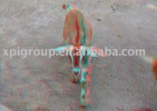 3D glasses/3D glasses picture/3D viewer image