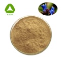 Arachnoid Cyanotis Root Extract Pulver Beta Ecdysone 40%