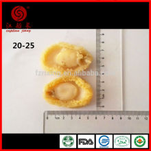 FROZEN BOILED ABALONE MEAT 20-25g/PCS