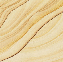 Wooden Vein Sandstones