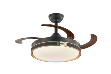 Black Ceiling Fan with Golden H Sign