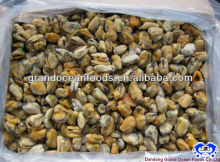 blue mussel meat IQF