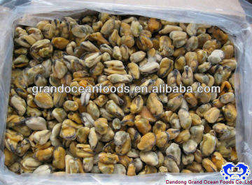 blue mussel meat IQF