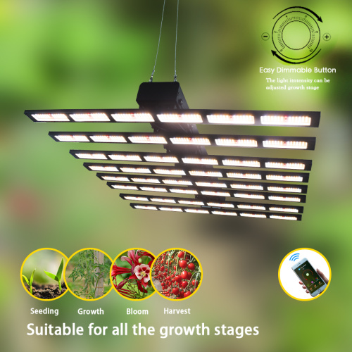 Grow Light Benzi LED de 1000W pentru plante