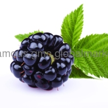 Purple Grape Painting Frameless