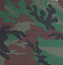 Printing Sportek Fabric For Polyester