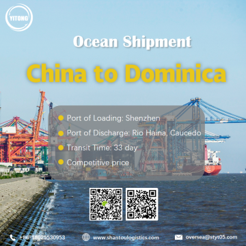 Ocean shipment from Shenzhen to Rio Haina